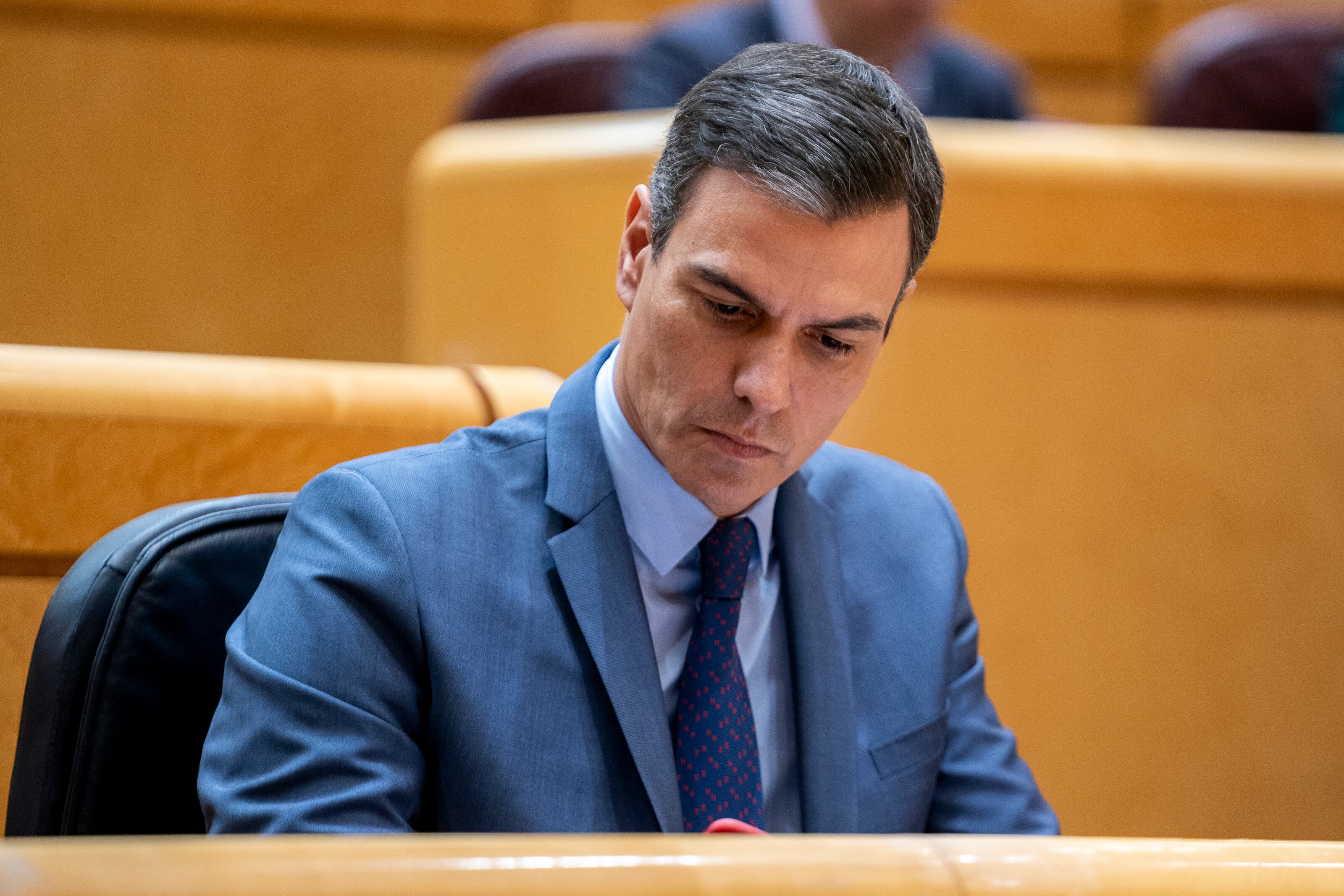 Pedro Sánchez