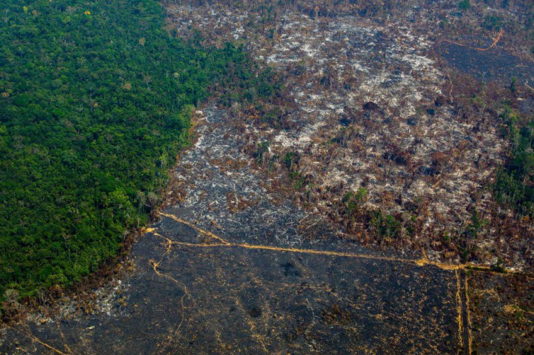 Zonas afectadas por los fuegos en el Amazonas 