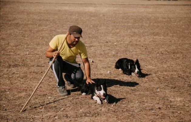 Daniel Illescas durante el entrenamiento de perros para pastoreo