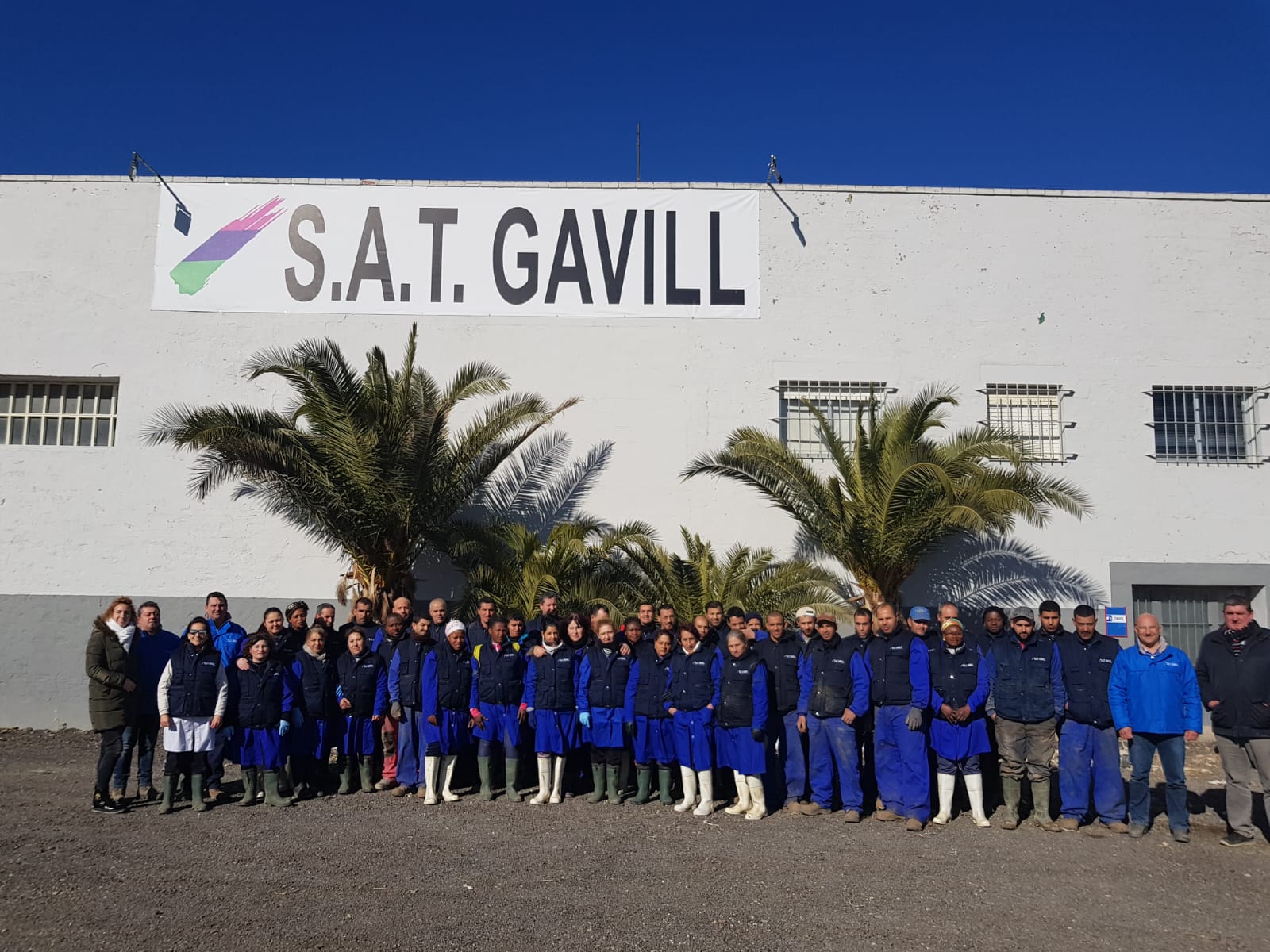 Plantilla de SAT GAVILL