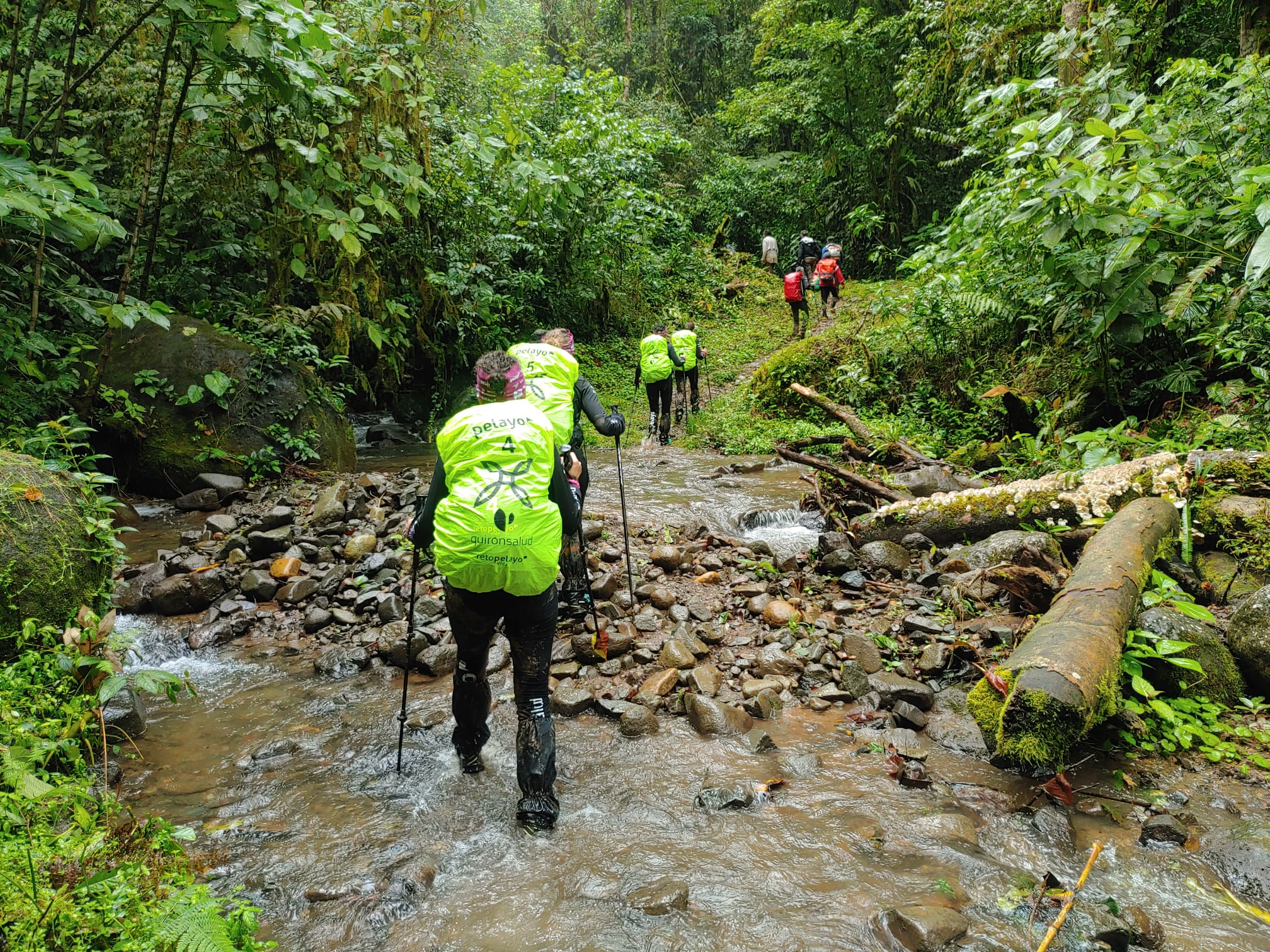 Las participantes del Reto Pelayo Vida, durante una de sus caminatas