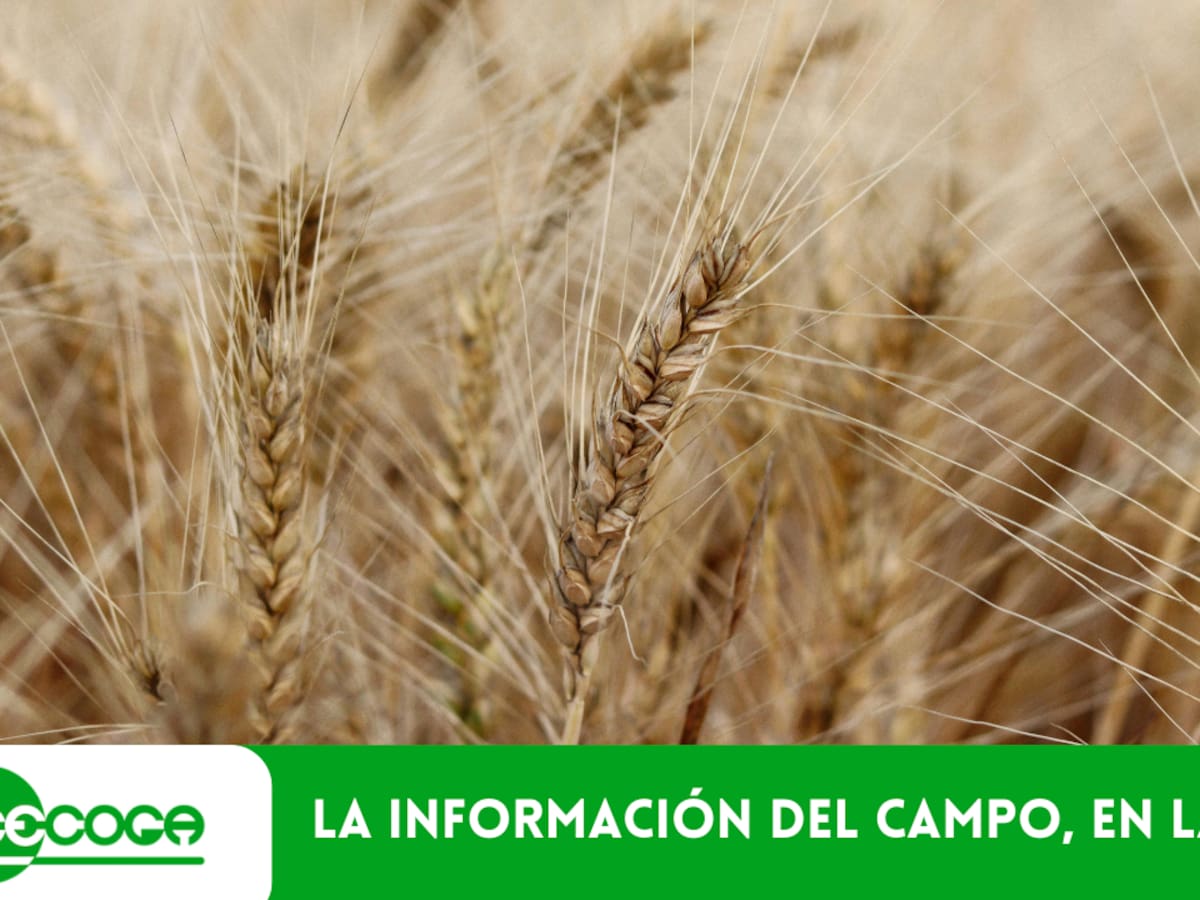 El campo encara la primavera con buenas reservas de agua y nuevos retos técnicos y administrativos