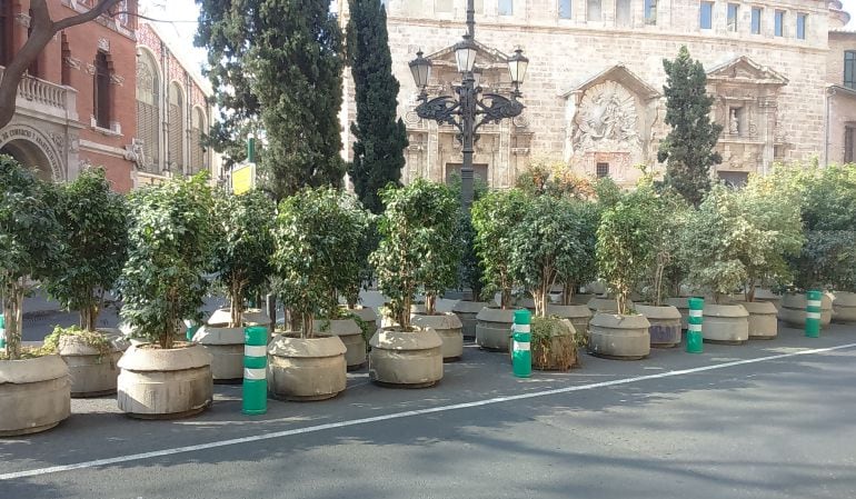 Maceteros preparados en las inmediaciones de la Lonja para la inminente reordenación del tráfico