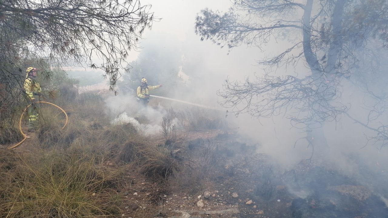 Efectivos del Plan Infomur luchan contra un incendio en la Sierra de Albatana, en Jumilla