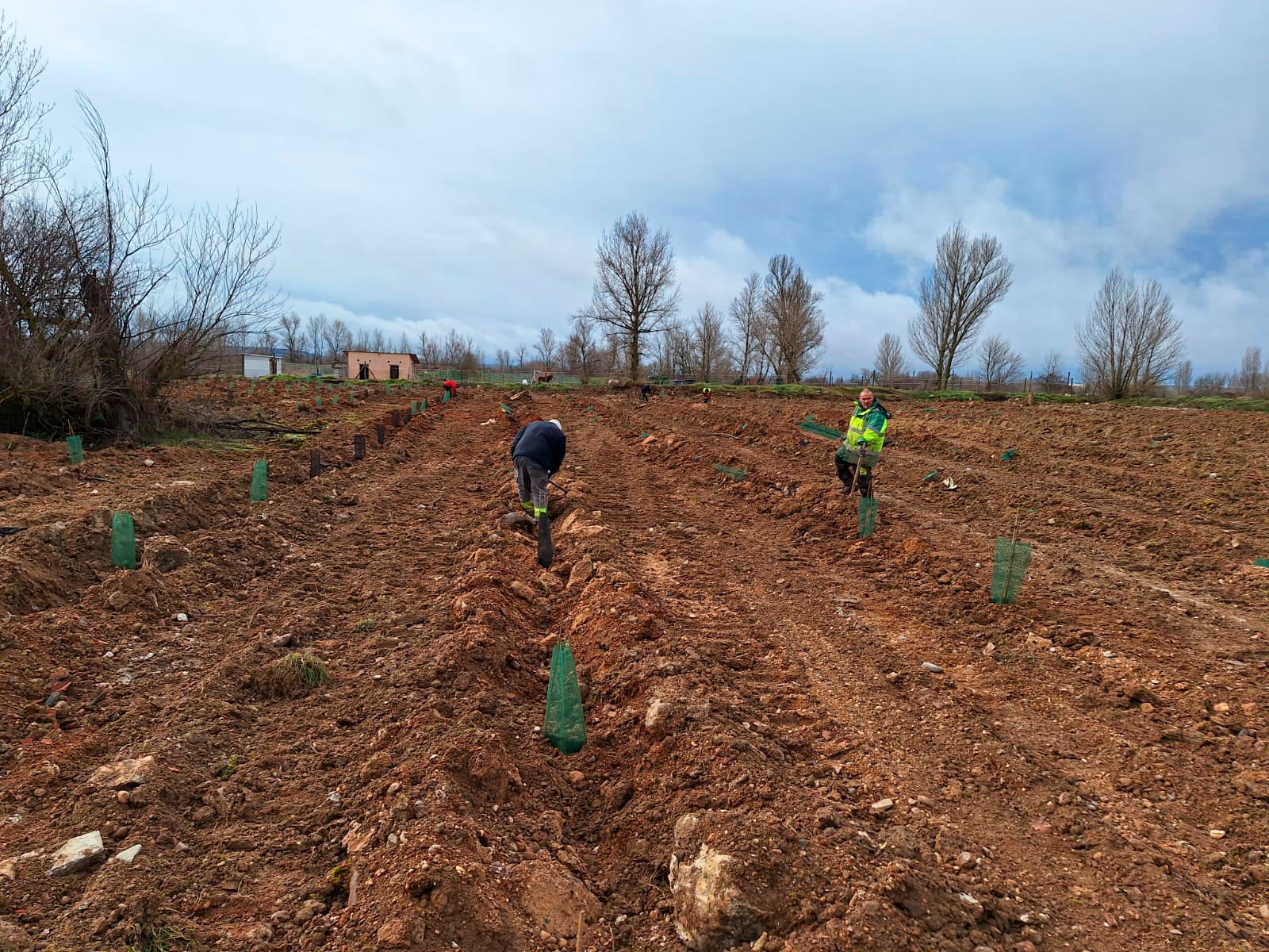 Proyecto para el fomento de la biodiversidad en Dueñas desarrollado por el Aguilar Film Festival