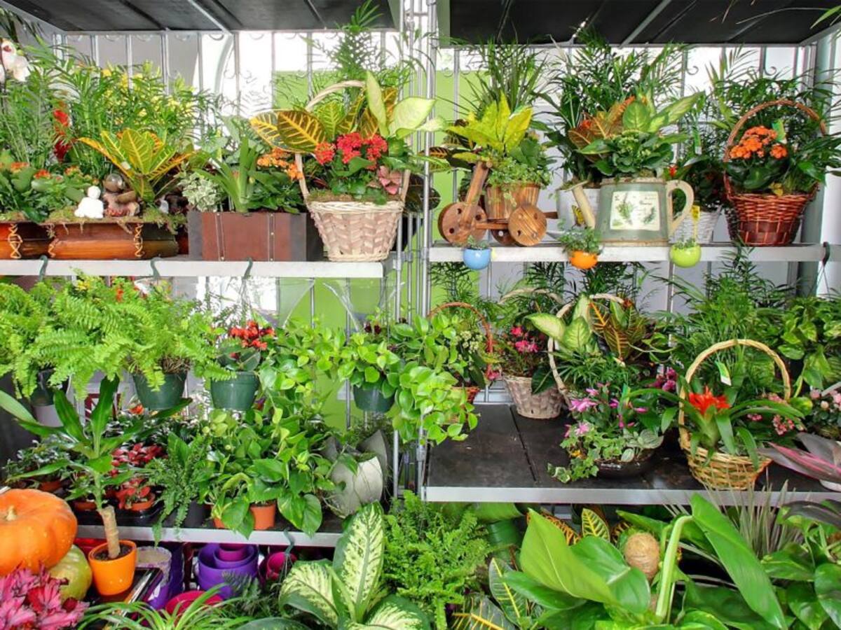 Flores para reconocer la labor diaria de los que siguen trabajando durante la crisis sanitaria