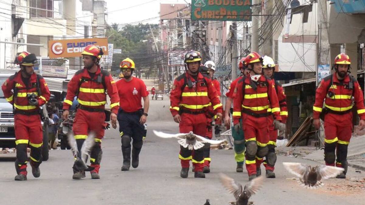 TERREMORO ECUADOR: ¿Cómo trabaja allí la Unidad Militar de Emergencias?