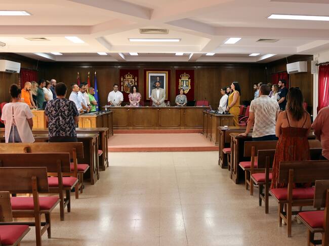 Pleno de organización del Ayto. de Azuqueca de Henares