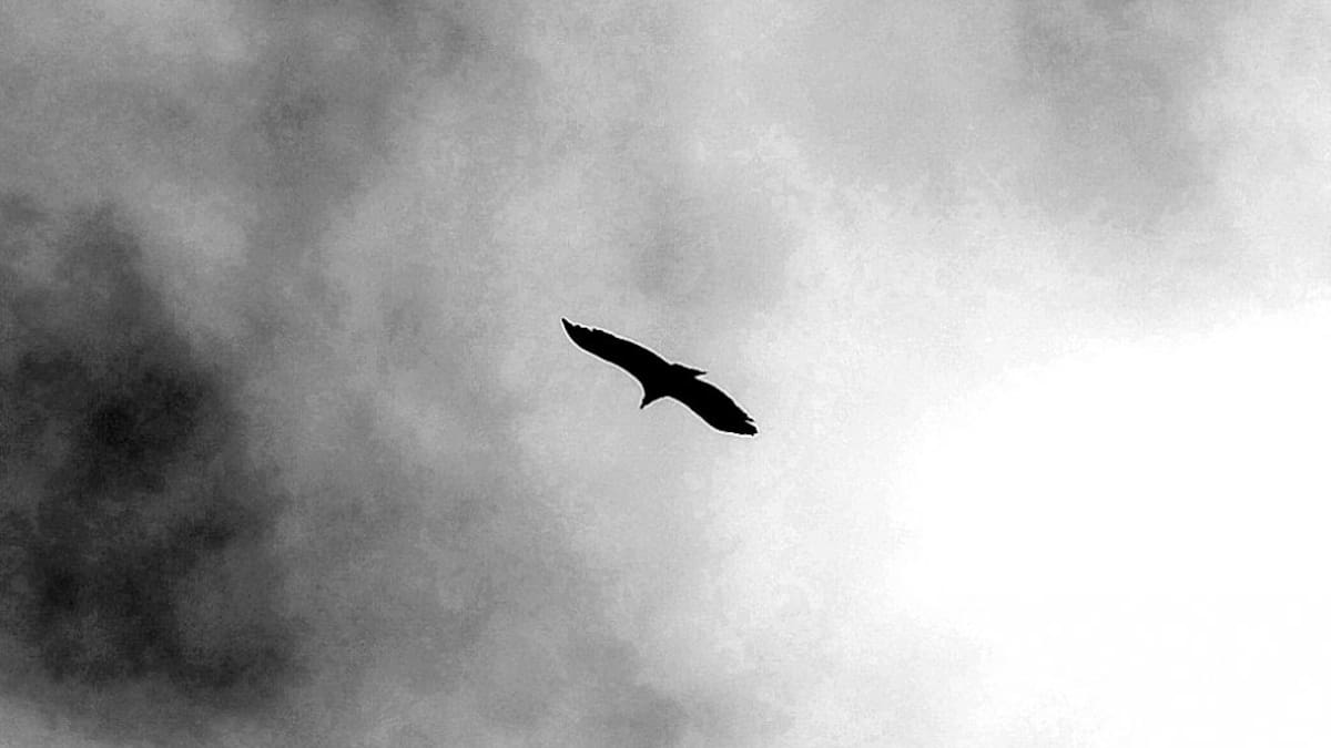 Extremadura en la Historia: El Pájaro de la Muerte