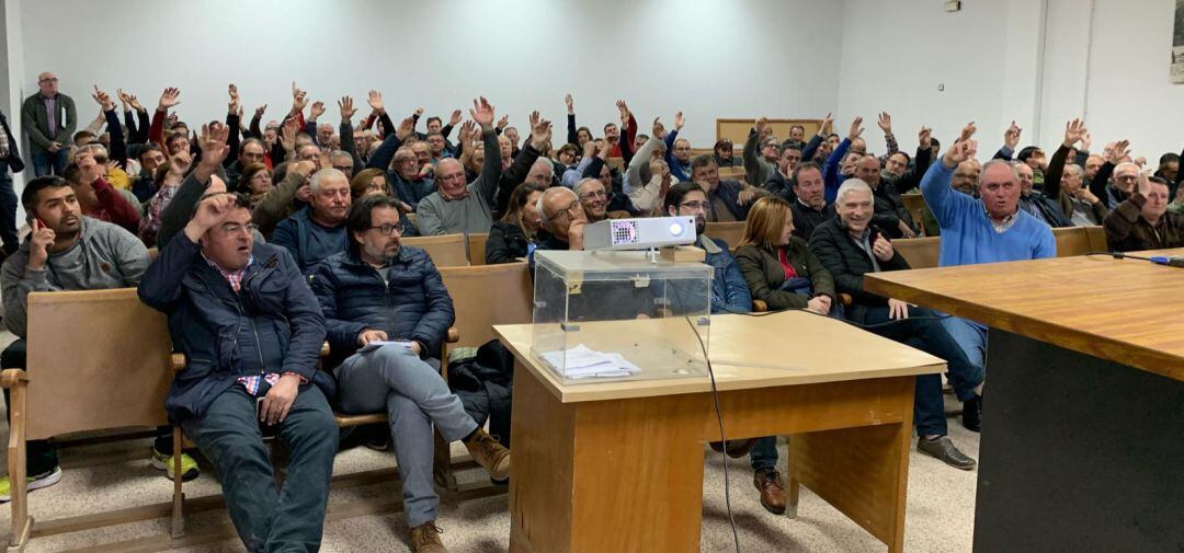 Votación de los agricultores de Uva de Mesa del Vinalopó