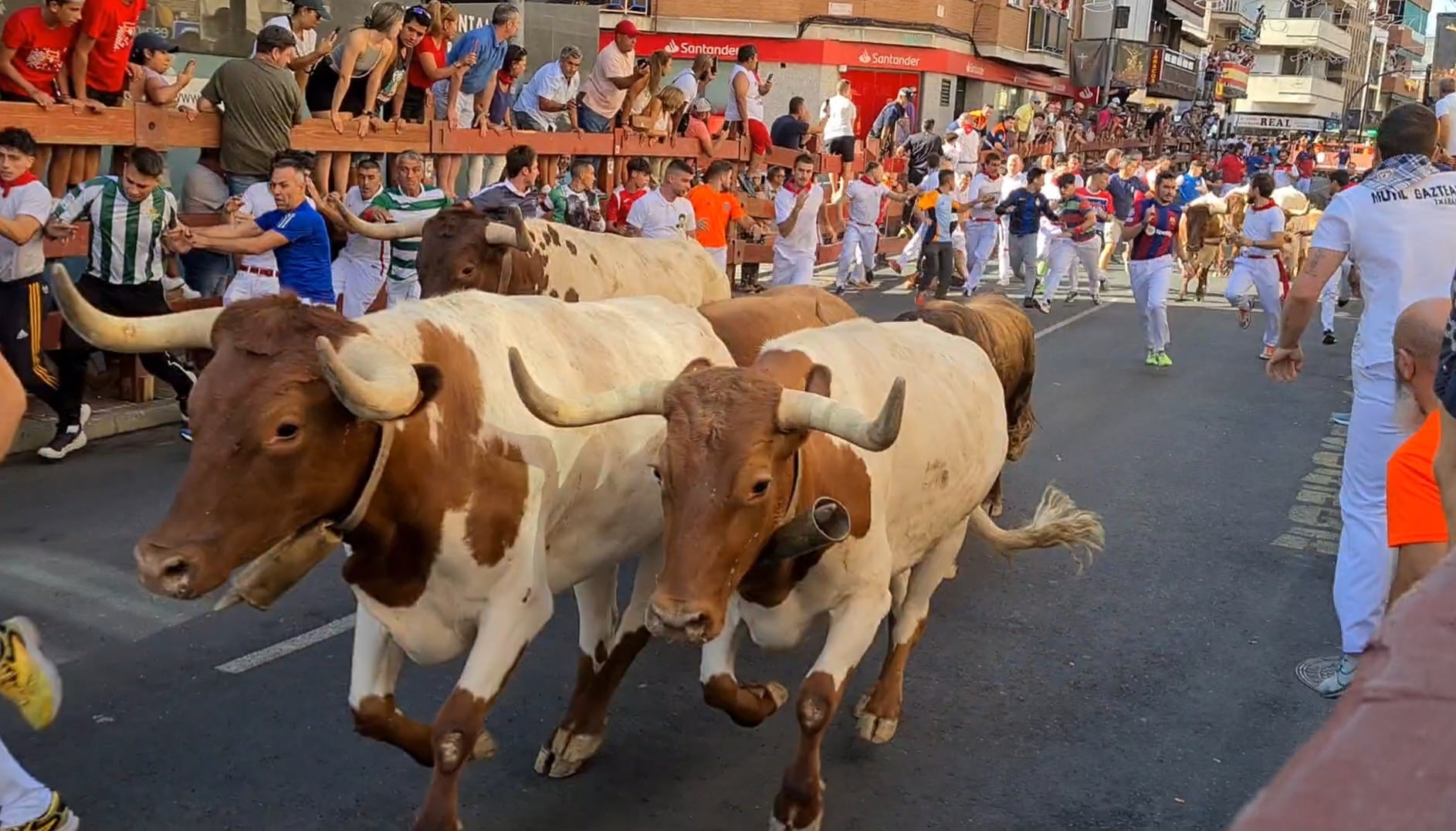 Tercer encierro de las Fiestas de San Sebastián de los Reyes 2024