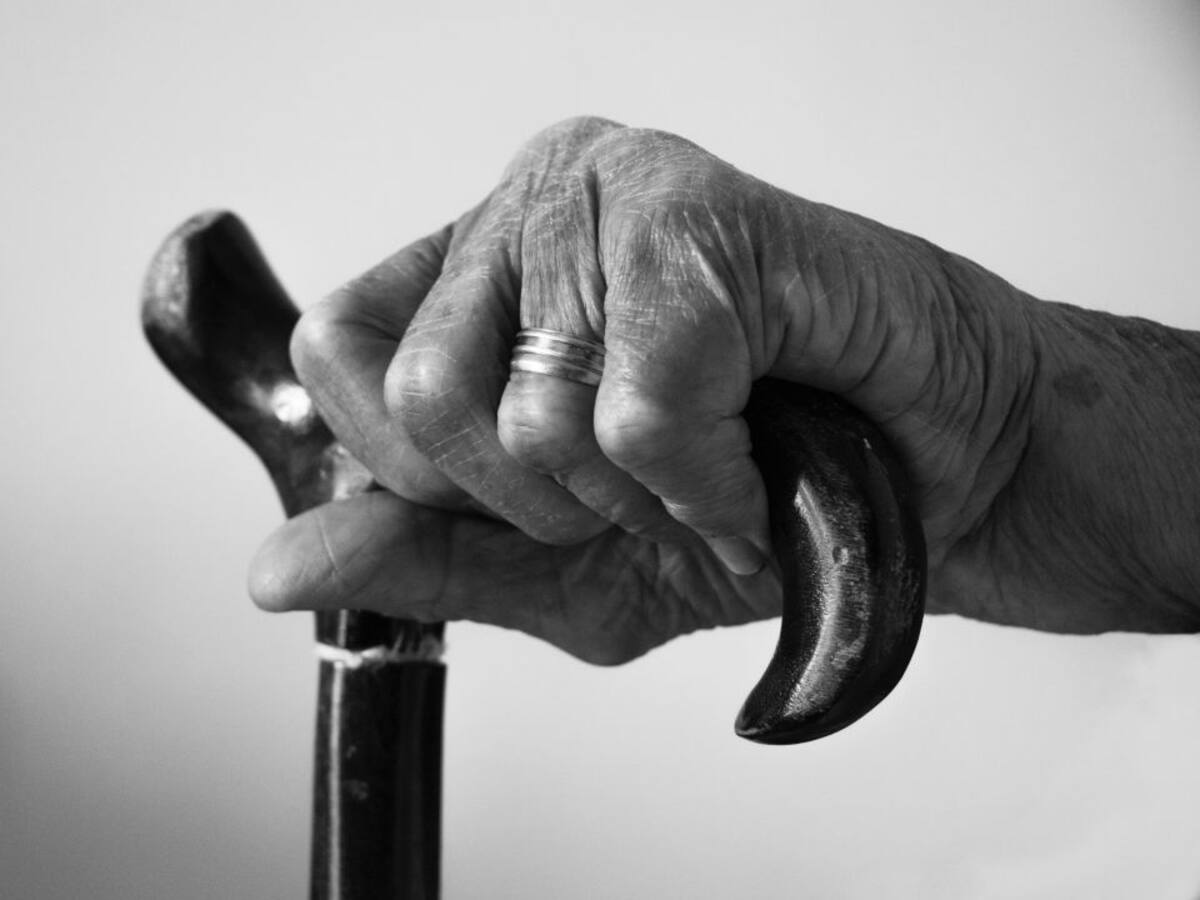 Història d'un objecte: El bastó