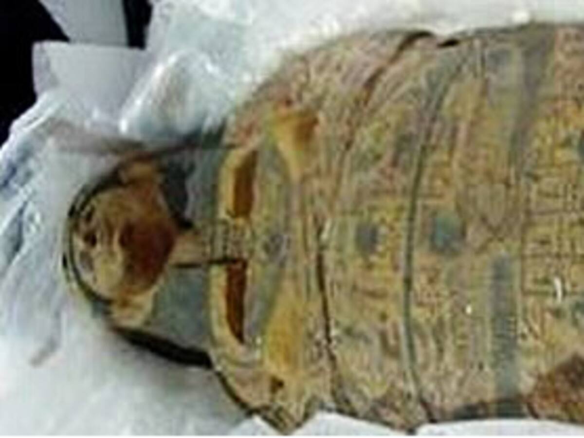 Egipto quiere recuperar un sarcófago que está en EEUU