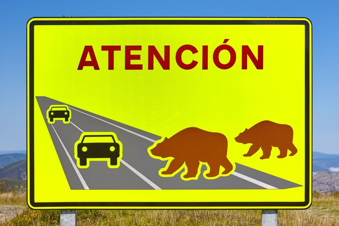 Señal del riesgo de aparición de osos pardos en una carretera asturania.