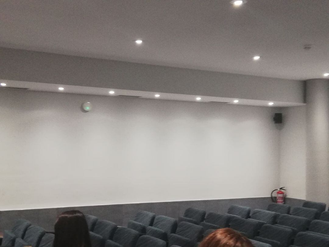 Los retratos se han retirado de las paredes del salón de plenos