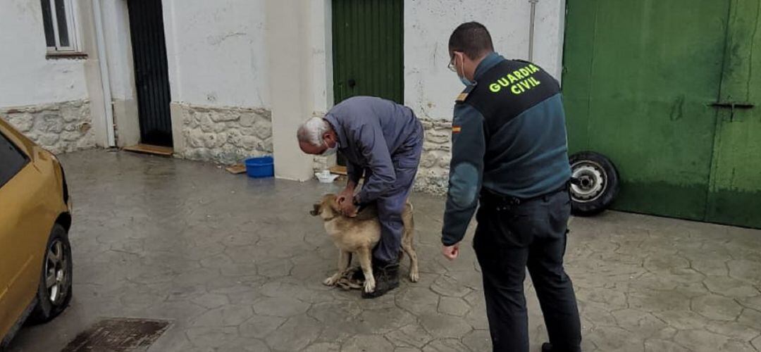 La Guardia Civil entrega el perro que había sido robado a su dueño.