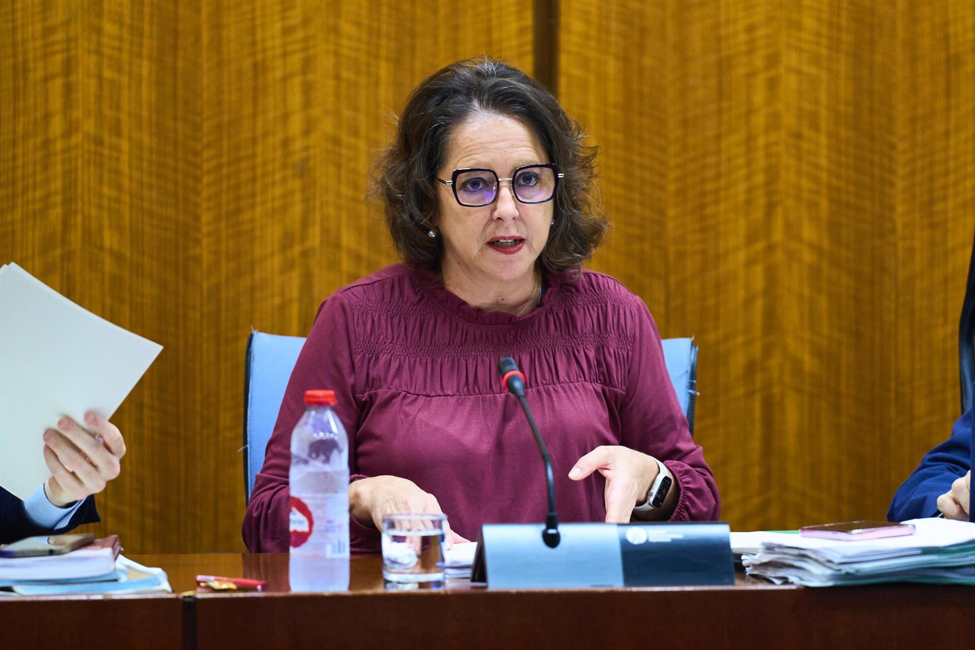 La consejera de Salud y Consumo, Catalina García, en la comisión parlamentaria - JOAQUIN CORCHERO / PARLAMENTO DE ANDALUCIA