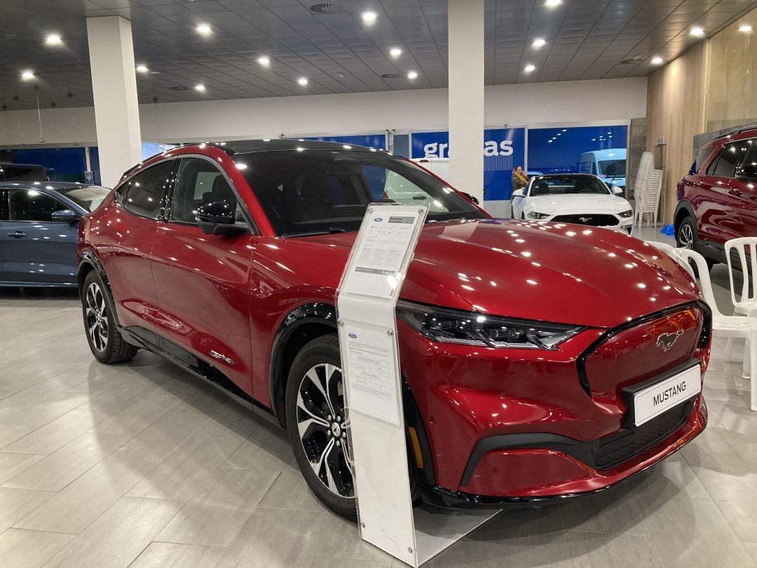 Los coches eléctricos centraron parte del evento