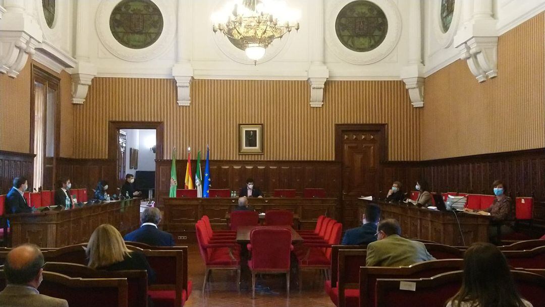 Sesión de pleno extraordinaria en la administración provincial jiennense.