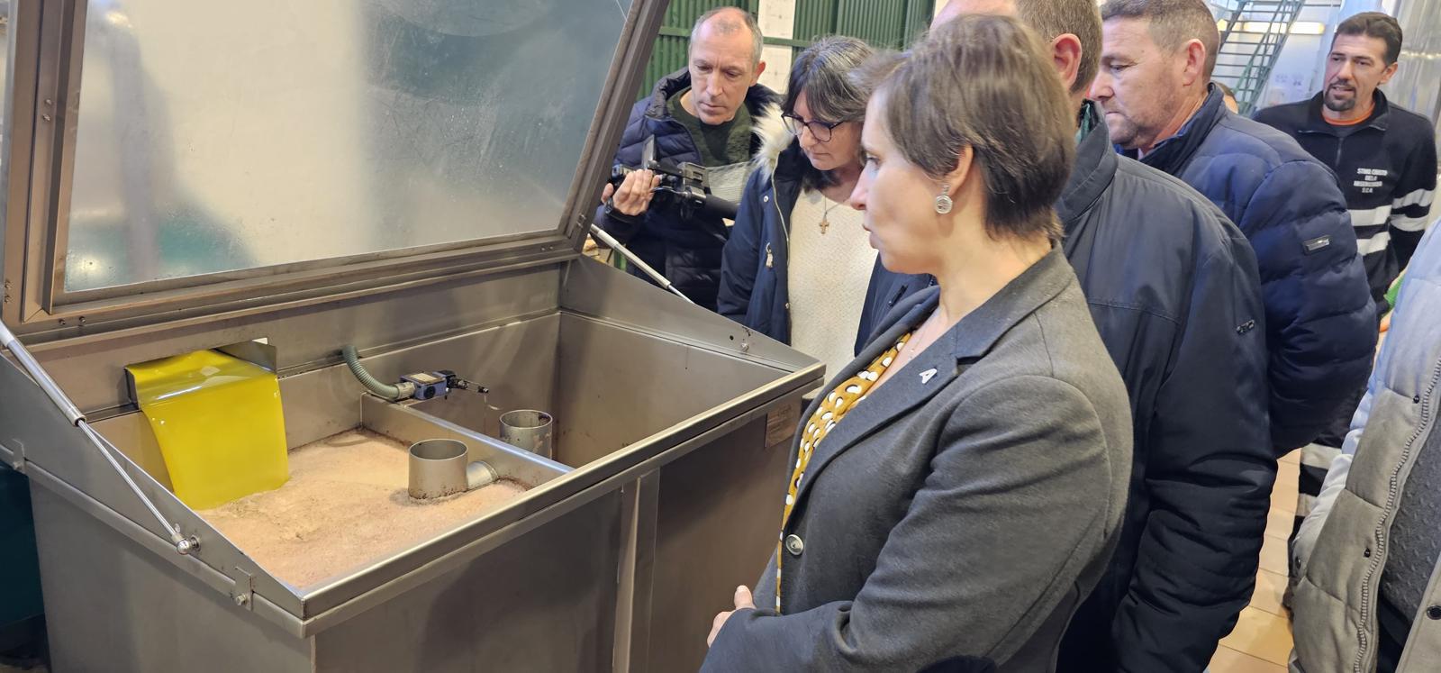 Momento de la visita de la delegada de Agricultura a las instalaciones de la Cooperativa Santísimo Cristo de la Misericordia de Jódar