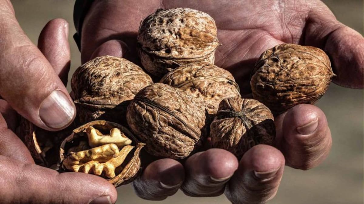 Gastro SER (01/12/2024)