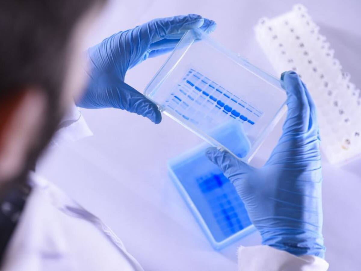 Coronavirus en Córdoba: Los casos siguen a la baja con 75 positivos en las últimas 24 horas