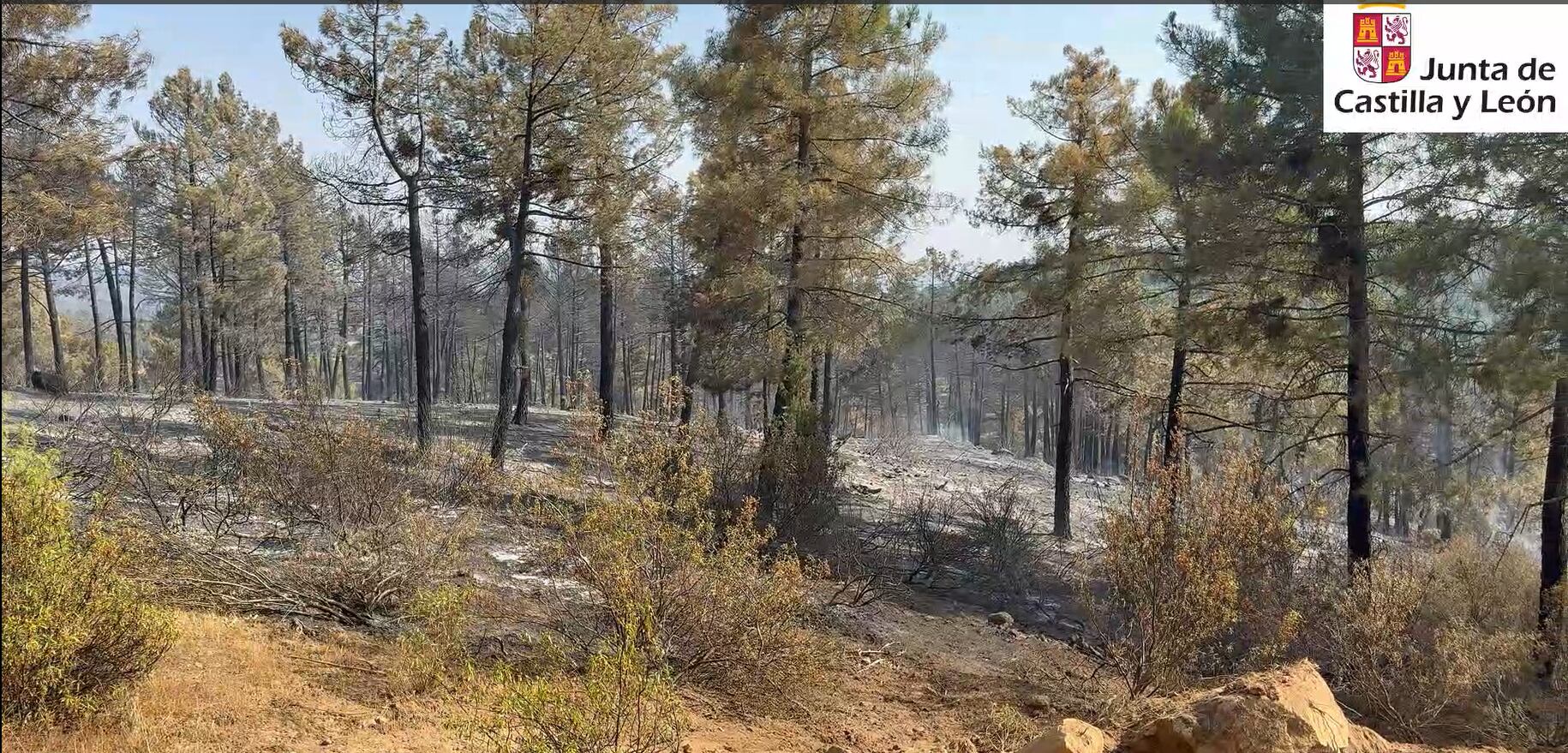 Zona afectada por el incendio