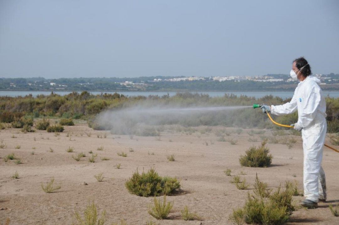 Un operario durante las labores de fumigación