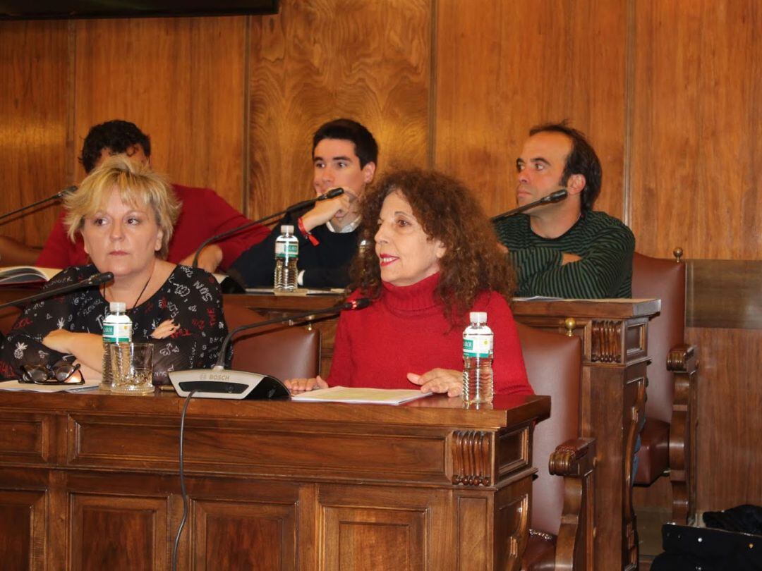 La portavoz del Grupo de IU en la Diputación Provincial, Laura Rivera, durante una intervención en el pleno de la institución provincial