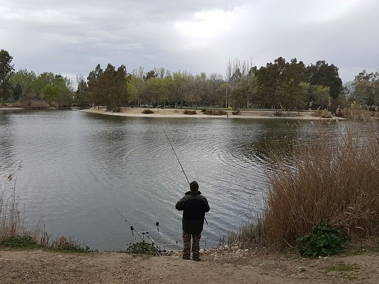 El parque Tierno Galván lleva cerrado desde el 2 de junio cuando aparecieron los cadáveres infectados