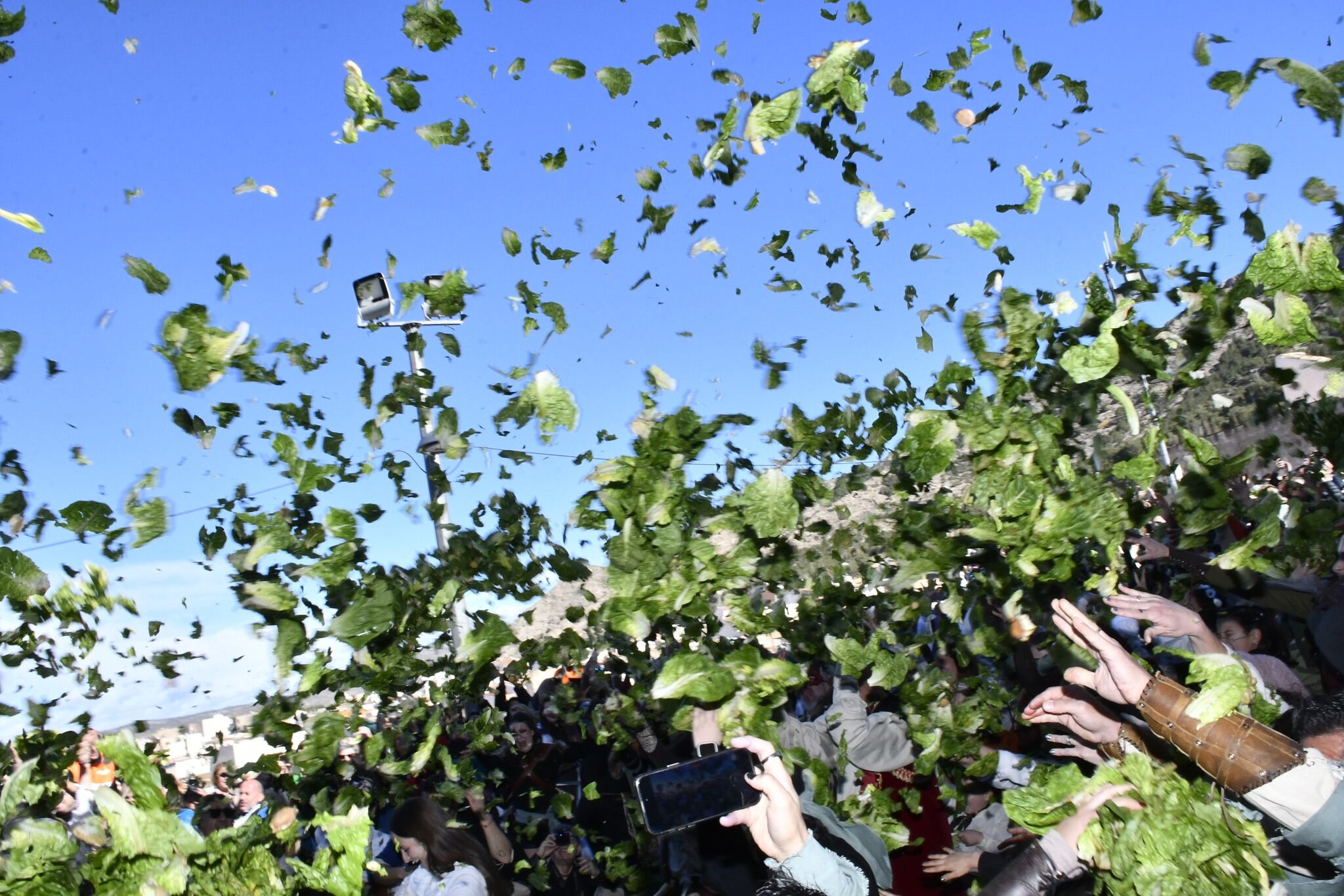 Las lechugas, vuelan