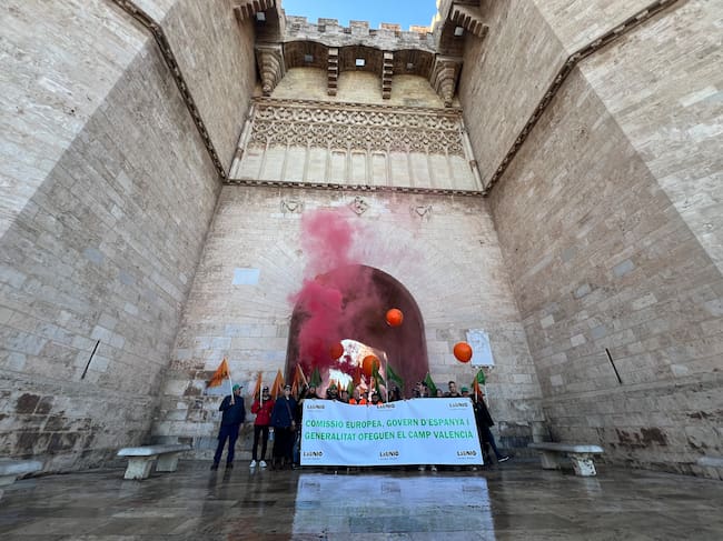 Manifestación del sector agrario en València