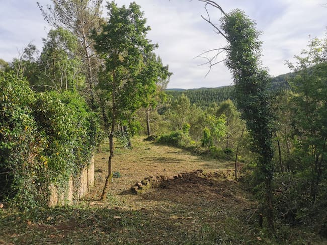 Ruesta en la actualidad