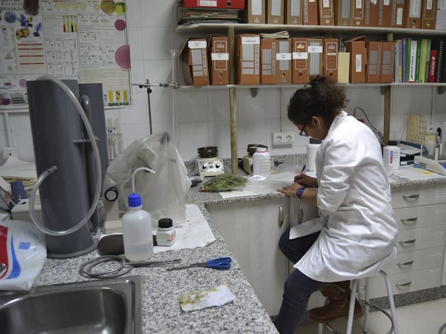 Banco de germoplasma Jardín Botánico de Córdoba