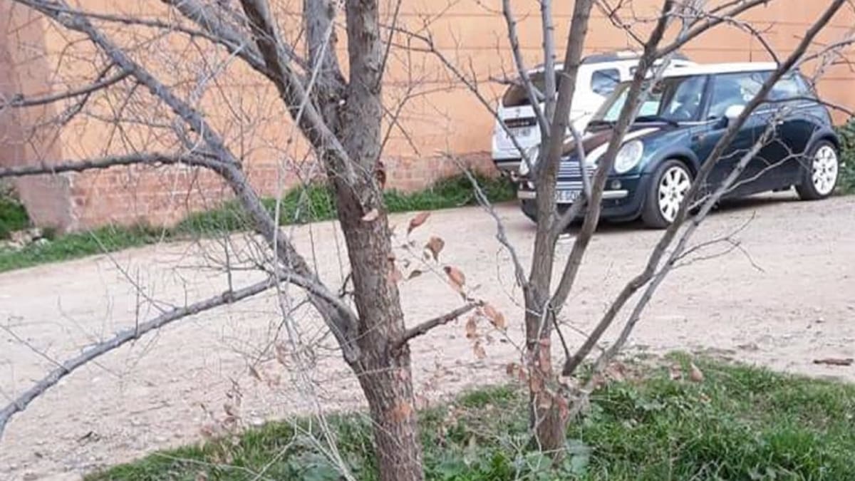 Denuncian la existencia de pozos o socavones sin protección en Linares