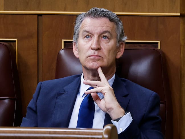 El líder del PP, Alberto Núñez Feijóo