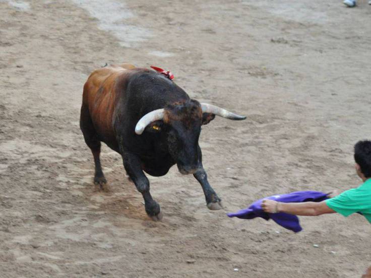 Imagen de archivo de festejos taurinos