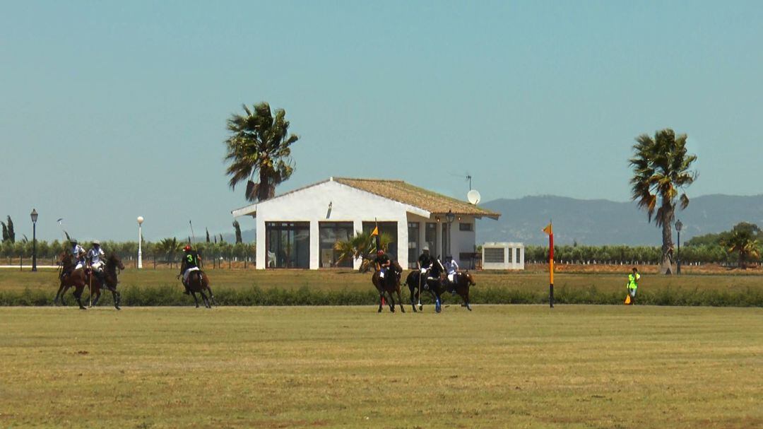 Imagen del Torneo de Polo Feria de Jerez 