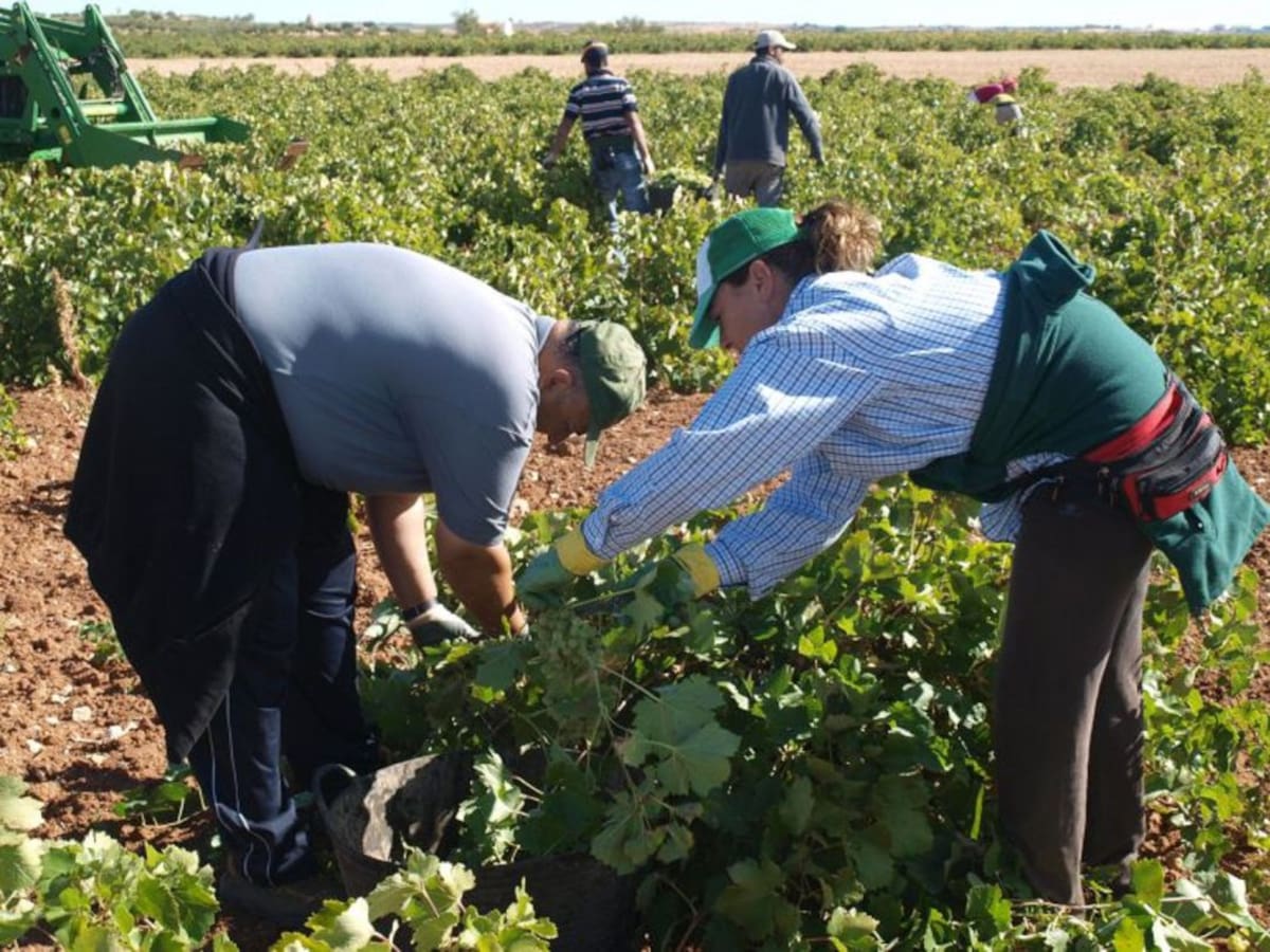 Baja el paro también en los municipios de La Mancha