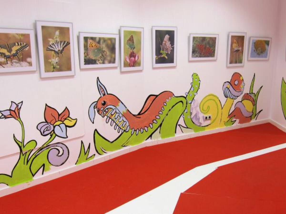 Instantáneas de mariposas e insectos en Sanse