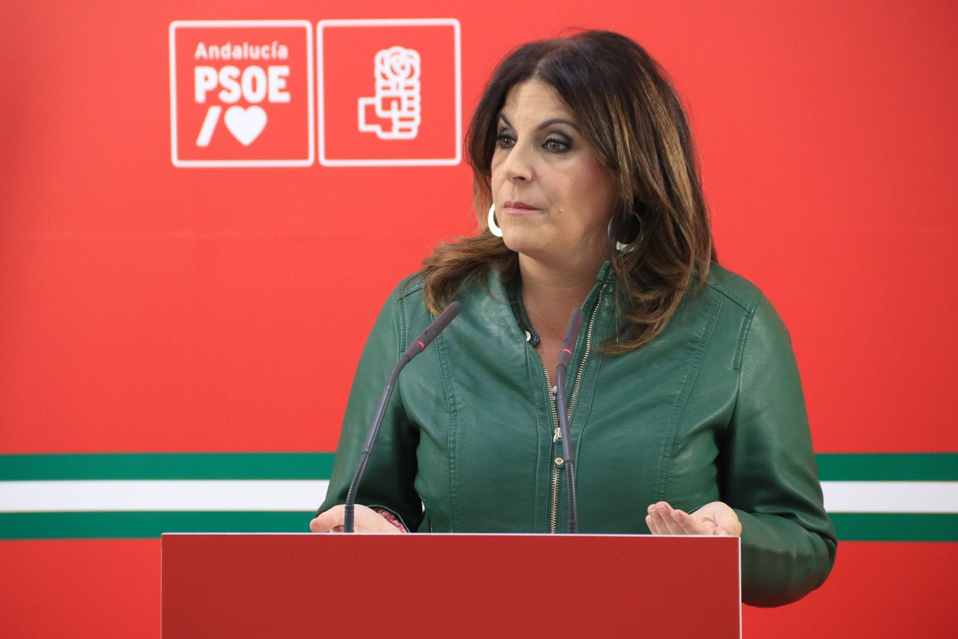 La parlamentaria socialista Ángeles Férriz durante la rueda de prensa