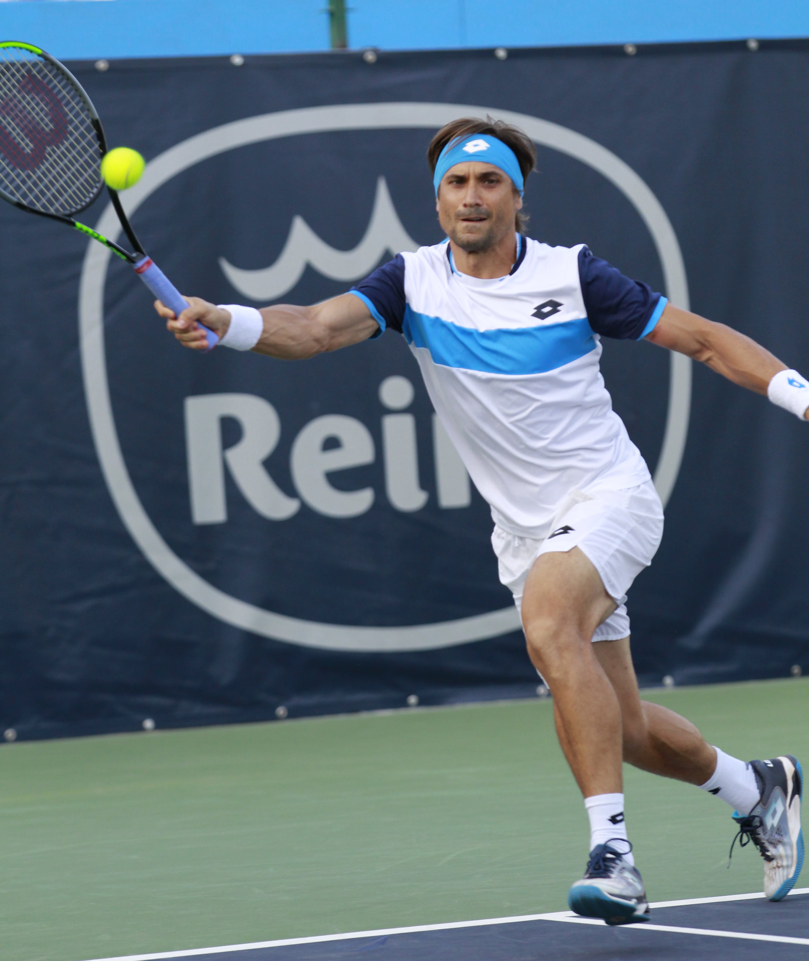 David Ferrer