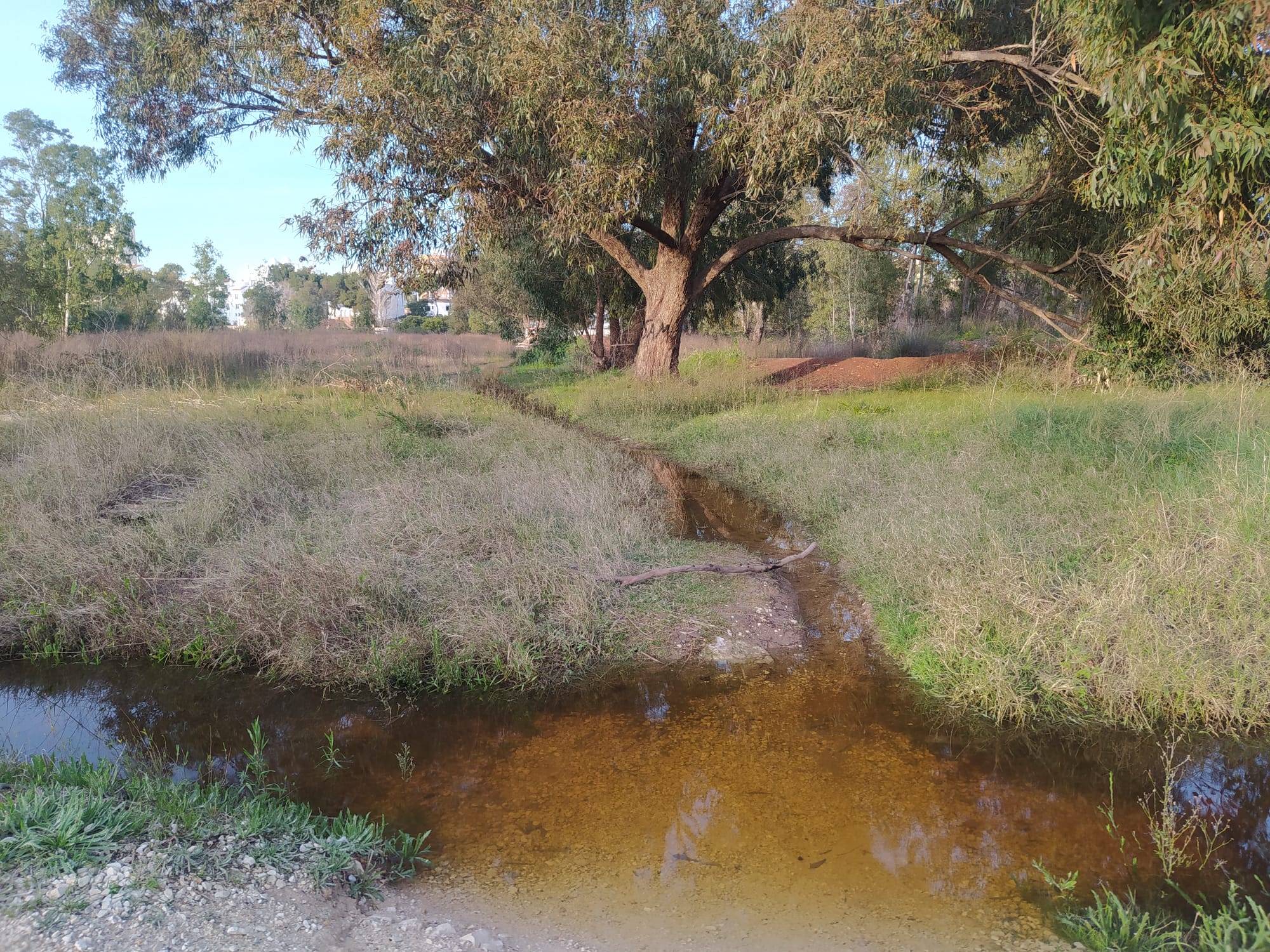 Zona del Saladar en Xàbia.