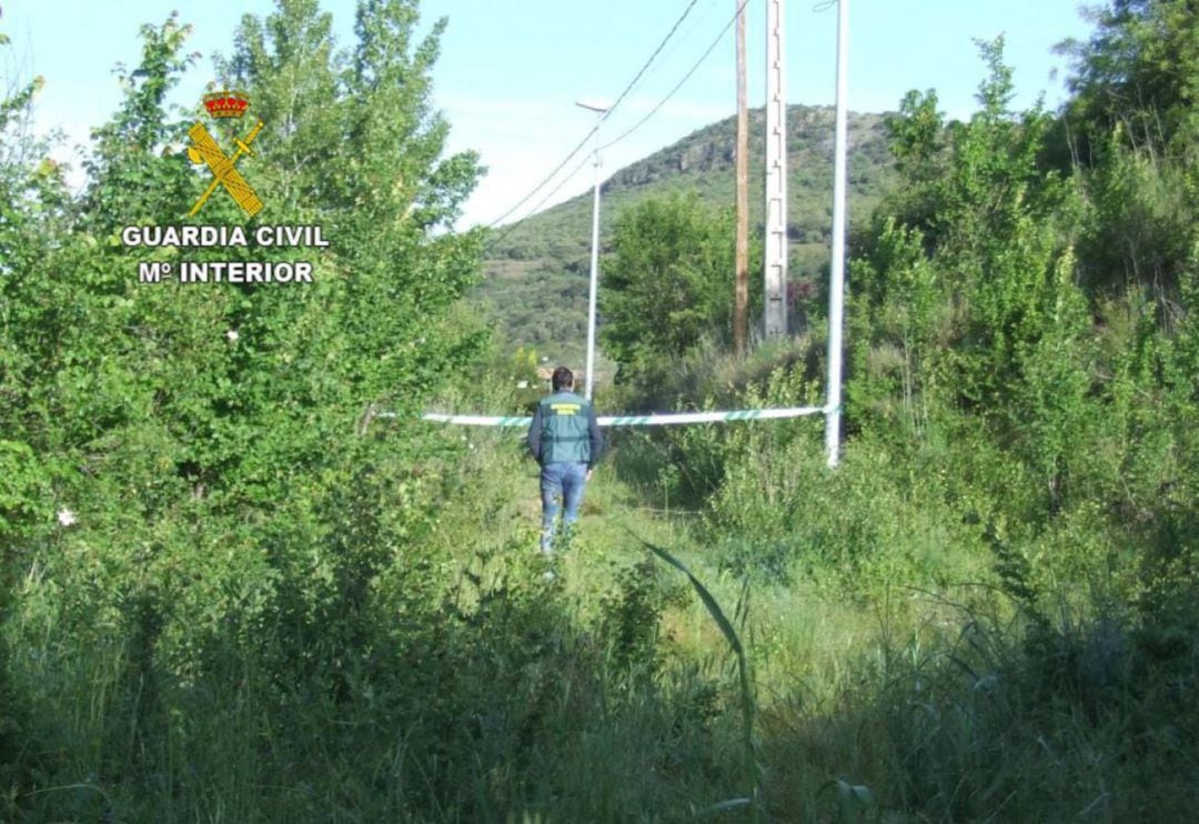 El suceso ocurrió en 2020 en un sendero próximo a Borrenes