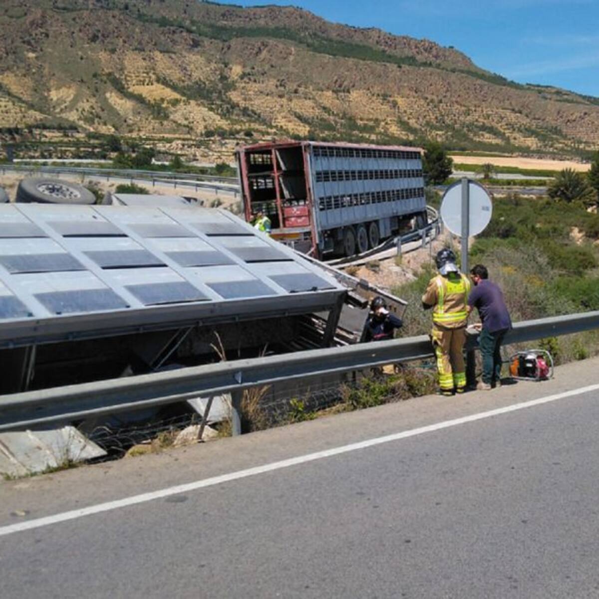 Vuelca un camión que transportaba cerdos en la salida de Alhama en la A-7