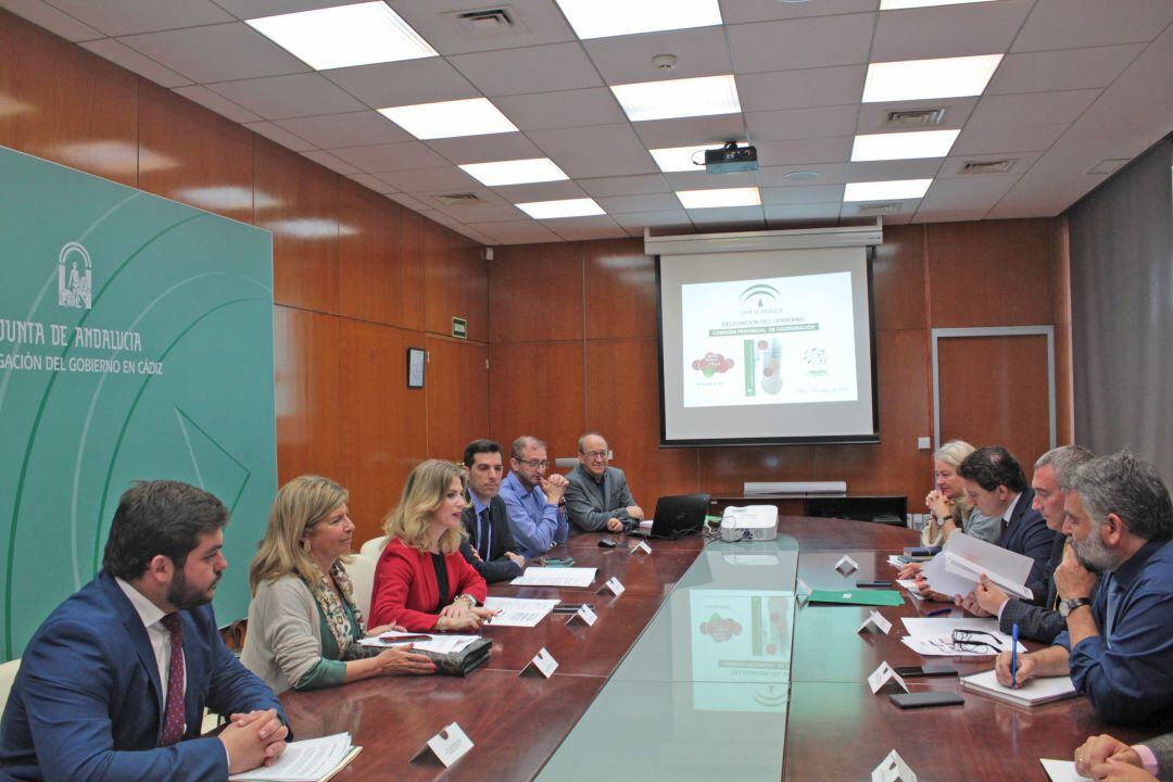 Reunión de impulso al Plan de Salud