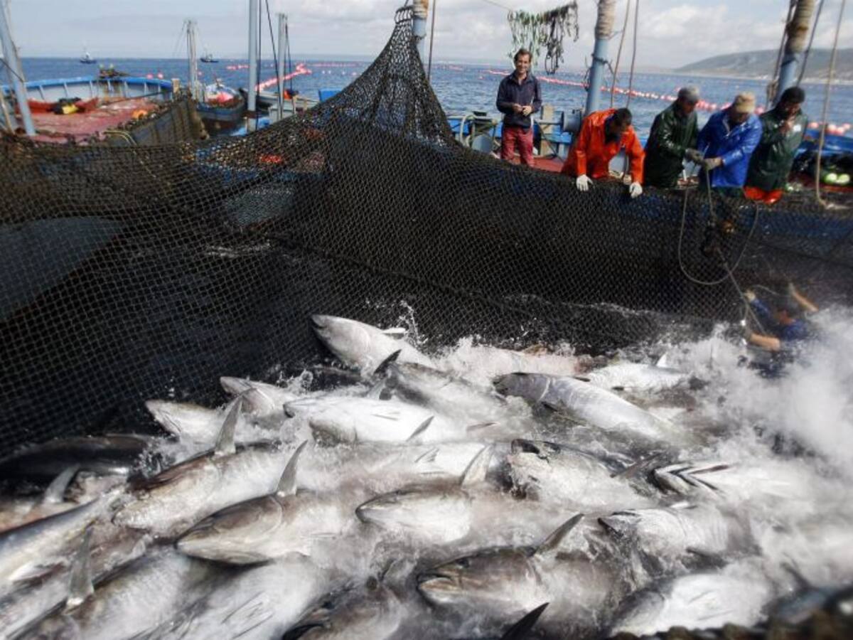 El temporal impide a los almadraberos trabajar en Tarifa