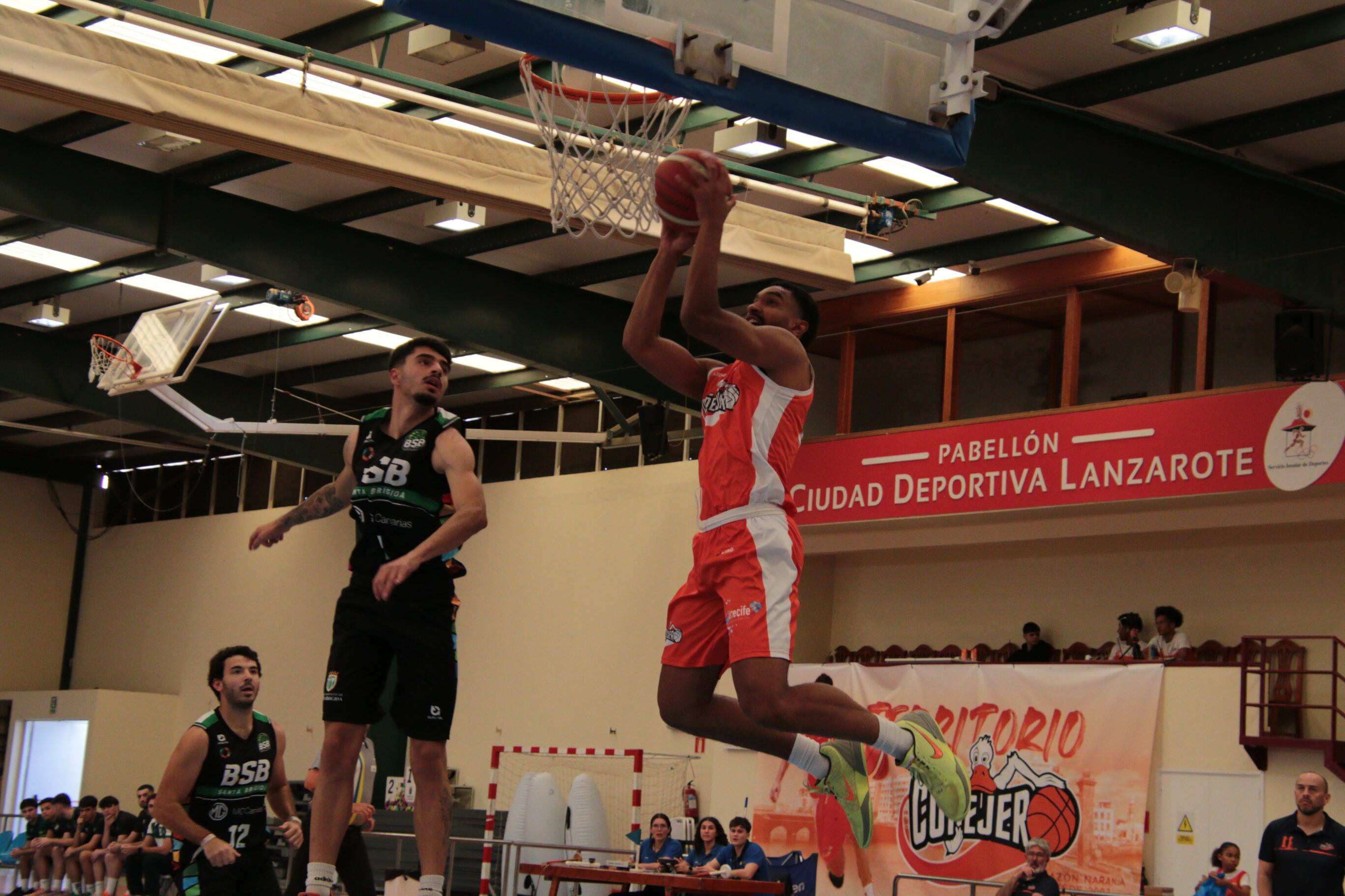 Canasta del VulcanAloe Lanzarote Conejeros.