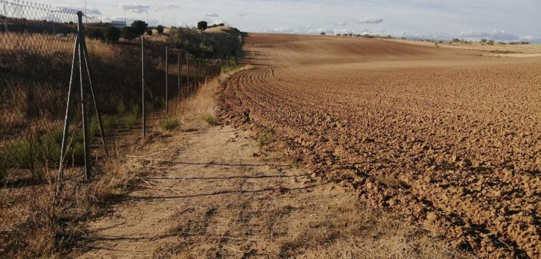 Los terrenos próximos al tramo de vía de servicio apropiado en Alcorcón