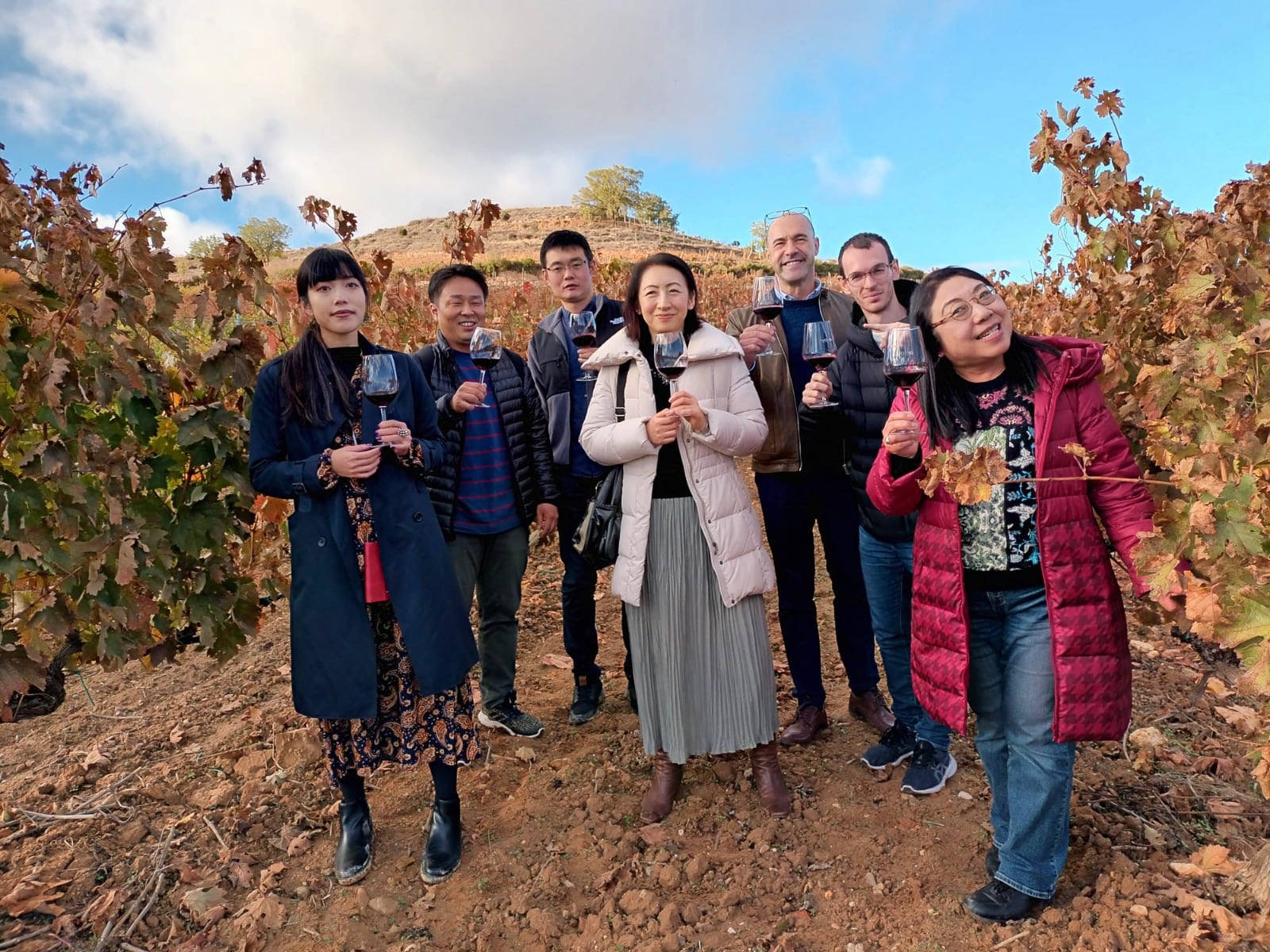 El grupo de visitantes en unos viñedos de Sotillo de la Ribera